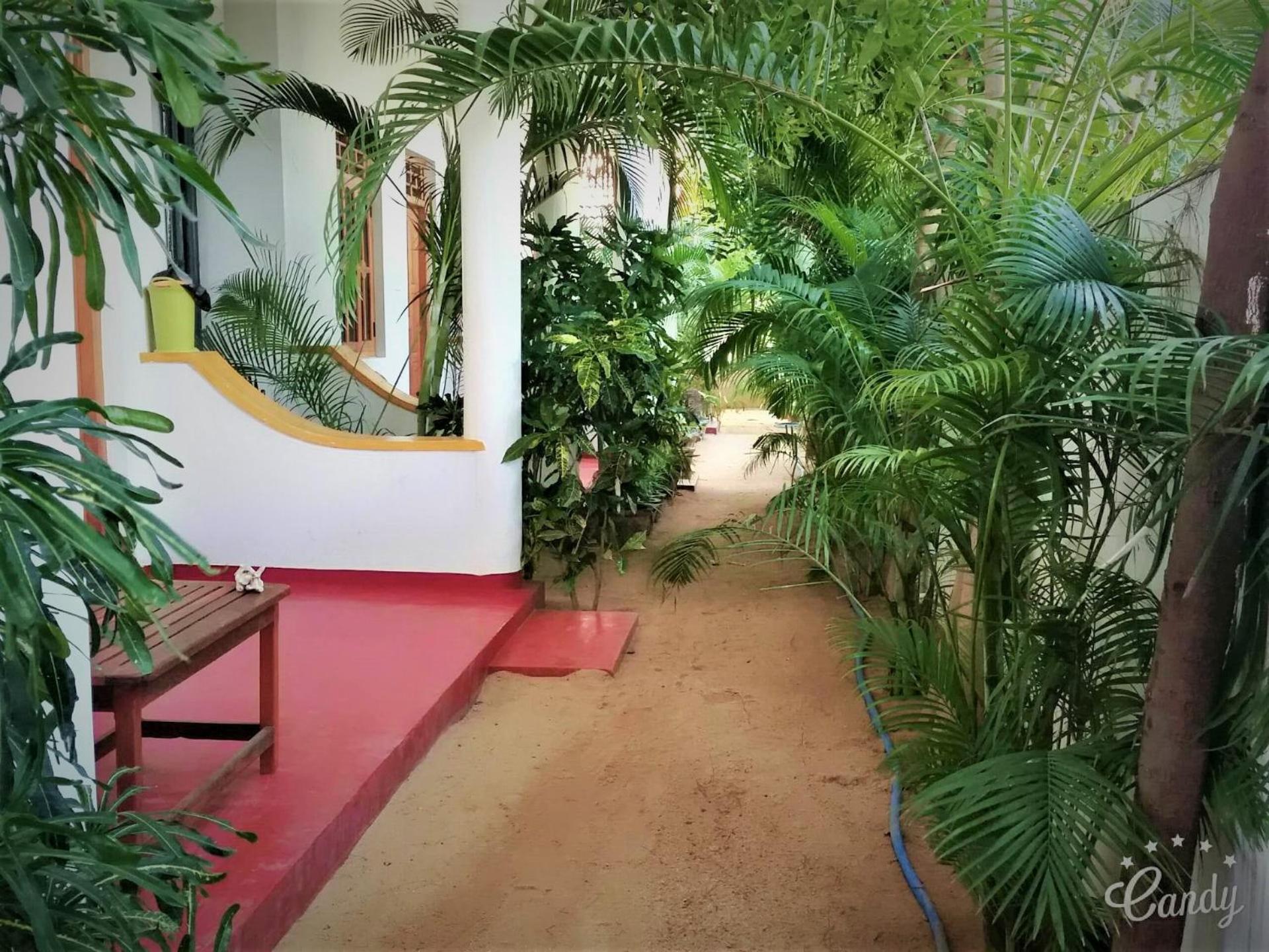 Surf & Sand Hotel Arugambay Arugam Bay Εξωτερικό φωτογραφία